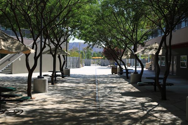 The central quad at IPoly has shady areas in which to relax.